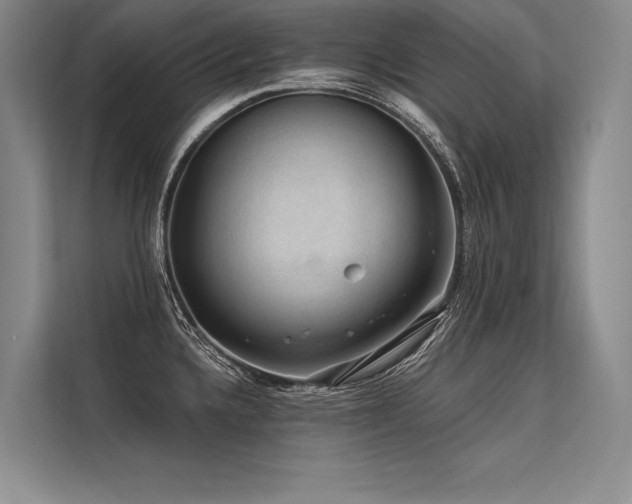 X0000113571336200909181239