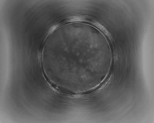 X0000113571337200909181239