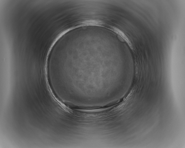 X0000113571339200909181239