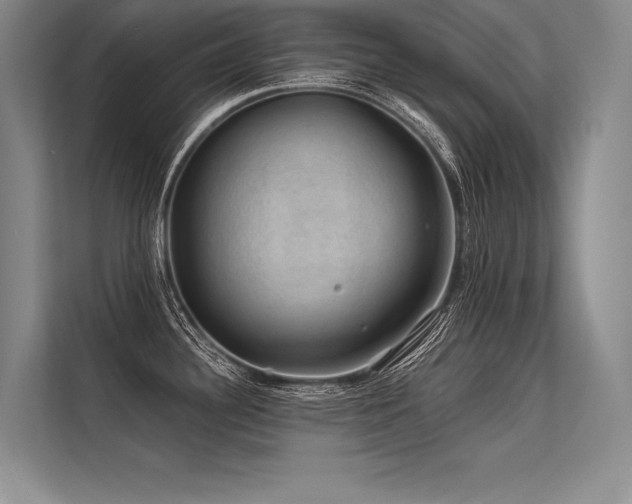 X0000113571340200909181239