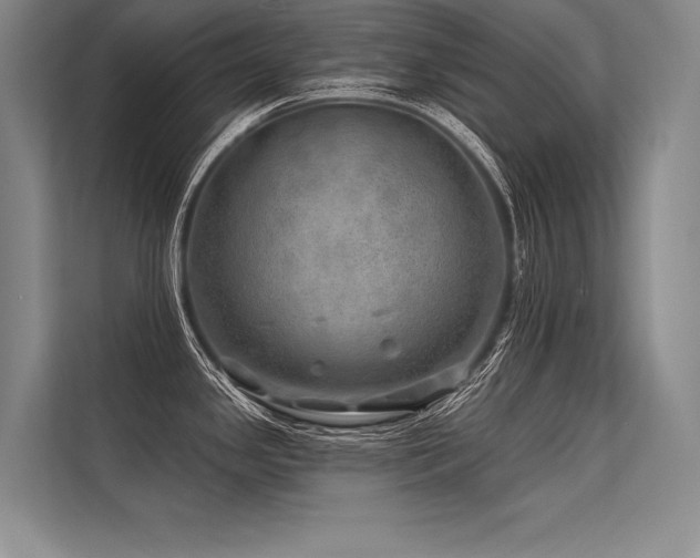 X0000113571341200909181239