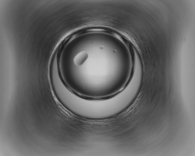 X0000113571342200909181239