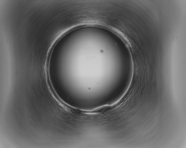 X0000113571343200909181239