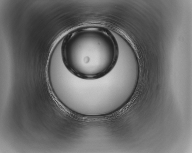 X0000113571344200909181239