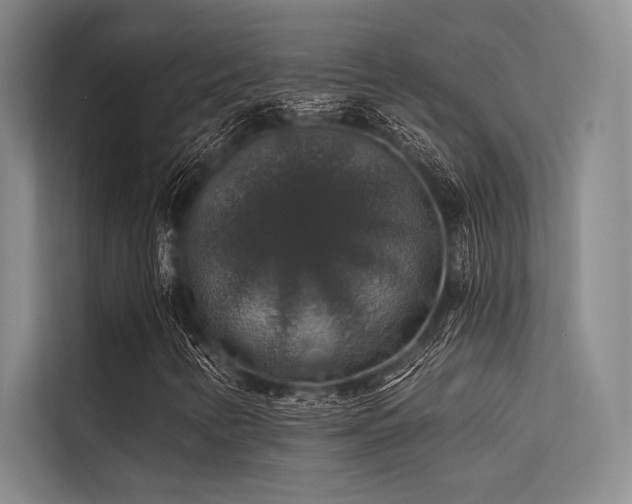 X0000113571346200909181239