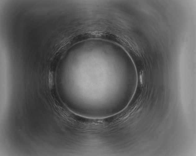 X0000113571347200909181239