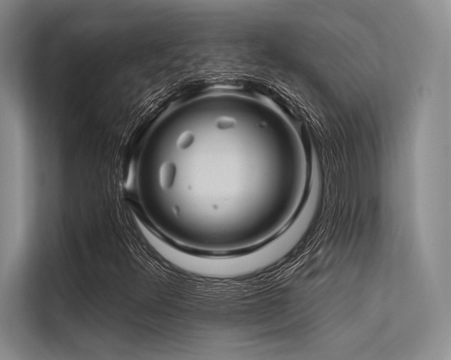 X0000113571348200909181239