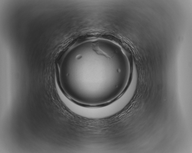 X0000113571349200909181239