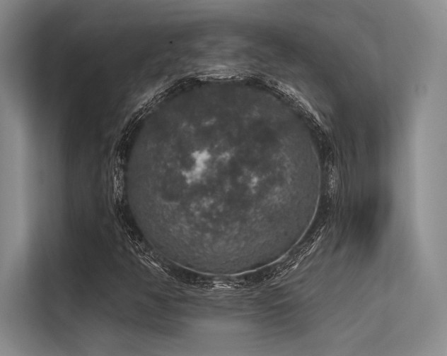 X0000113571350200909181239