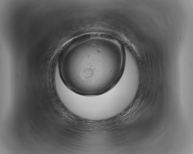 X0000113571352200909181239