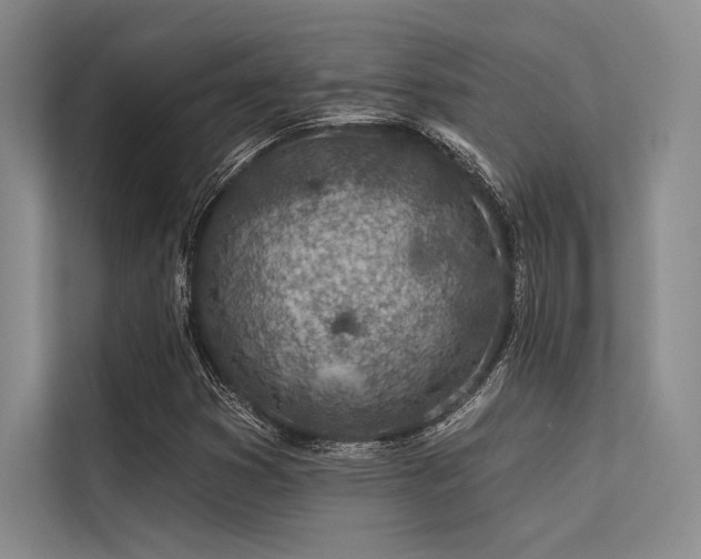 X0000113571353200909181239
