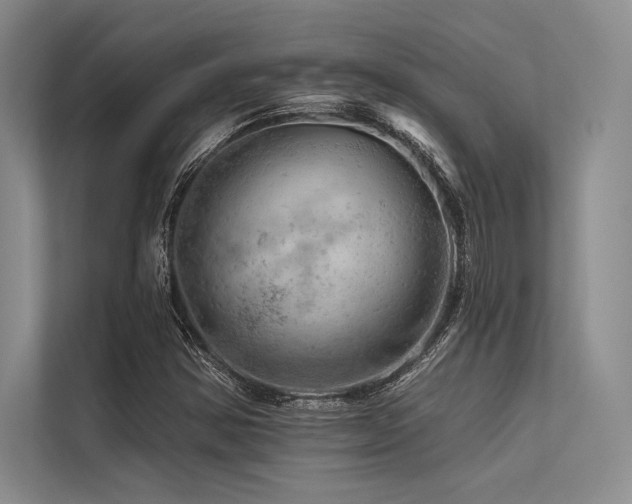X0000113571354200909181239
