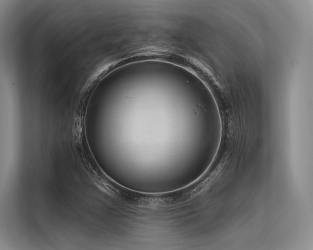 X0000113571355200909181239