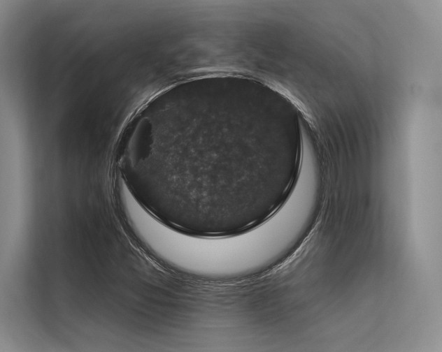 X0000113571357200909181239