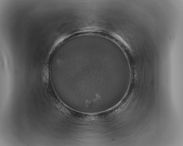 X0000113571358200909181239