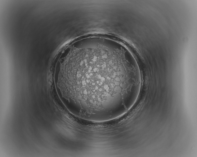 X0000113571359200909181239