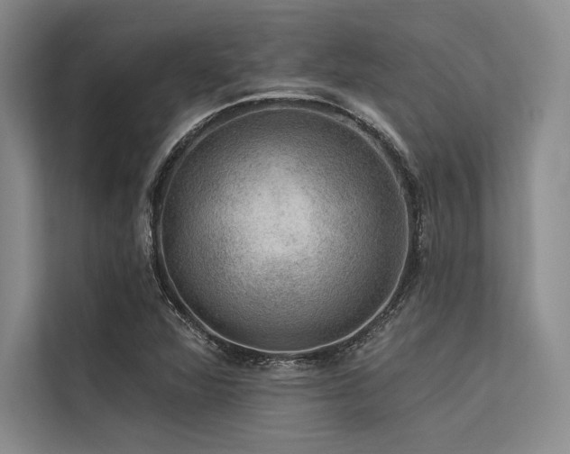 X0000113571360200909181239