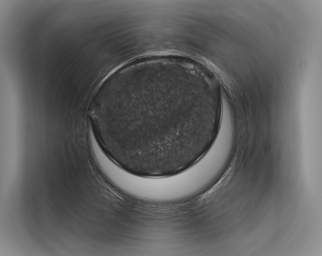 X0000113571361200909181239