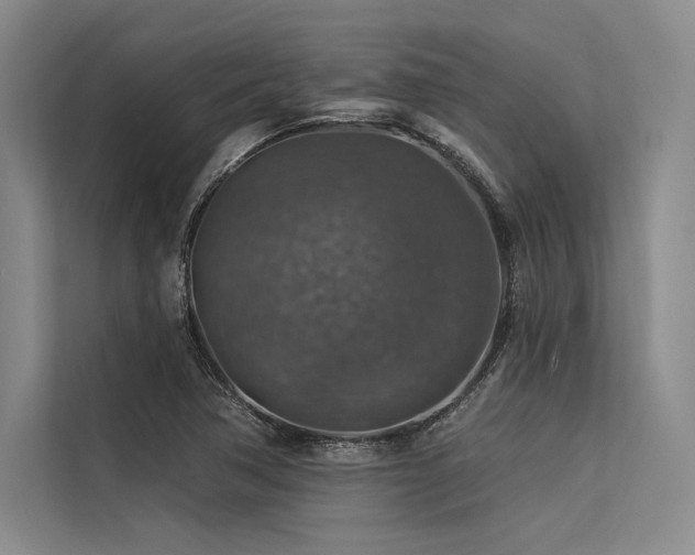 X0000113571362200909181239