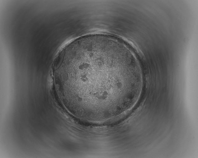 X0000113571363200909181239