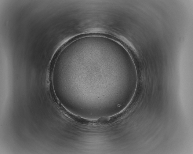 X0000113571364200909181239