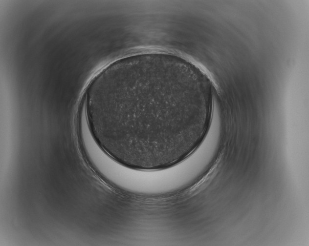 X0000113571365200909181239