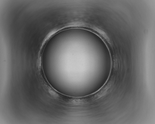 X0000113571366200909181239