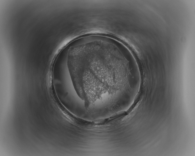 X0000113571367200909181239