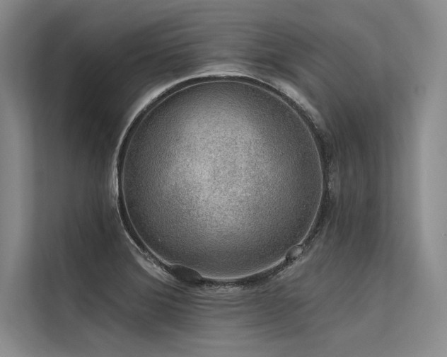 X0000113571372200909181238