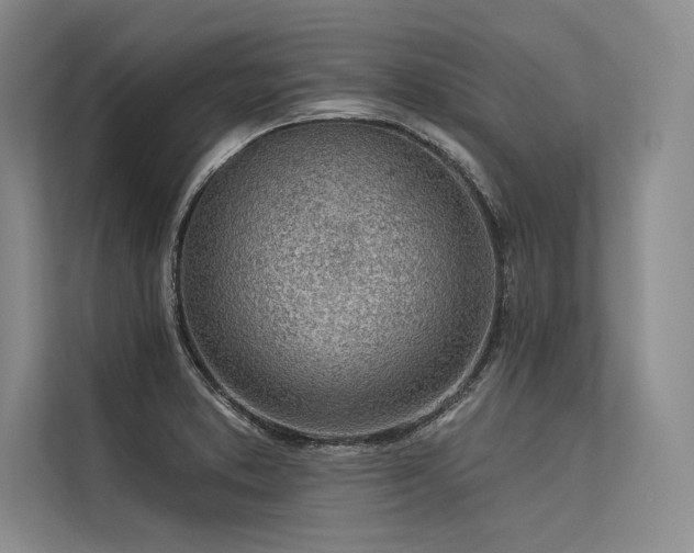 X0000113571373200909181238