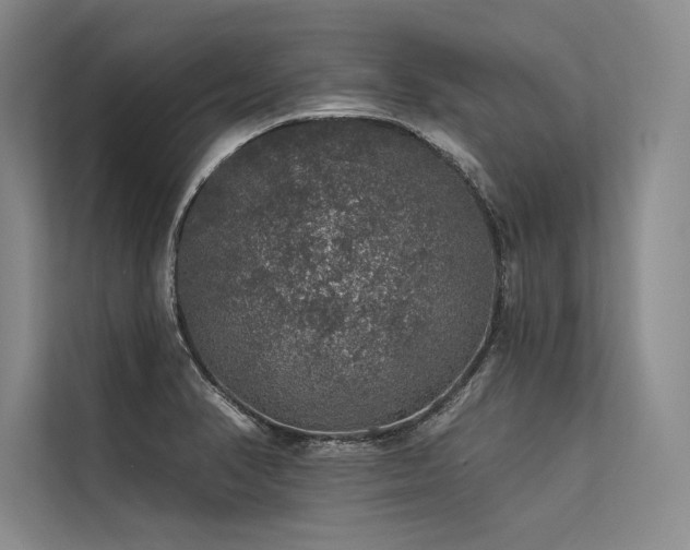 X0000113571374200909181238