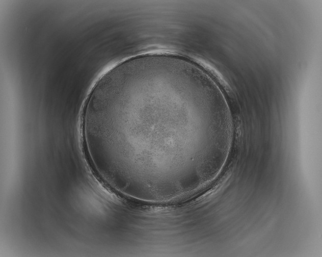 X0000113571375200909181238