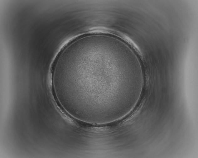 X0000113571376200909181238