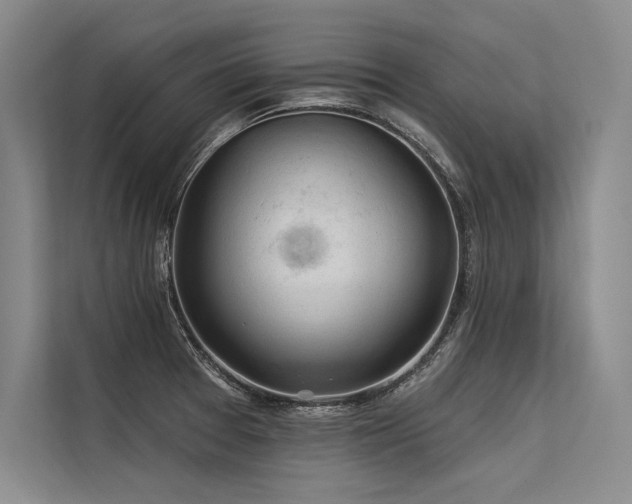X0000113571377200909181238