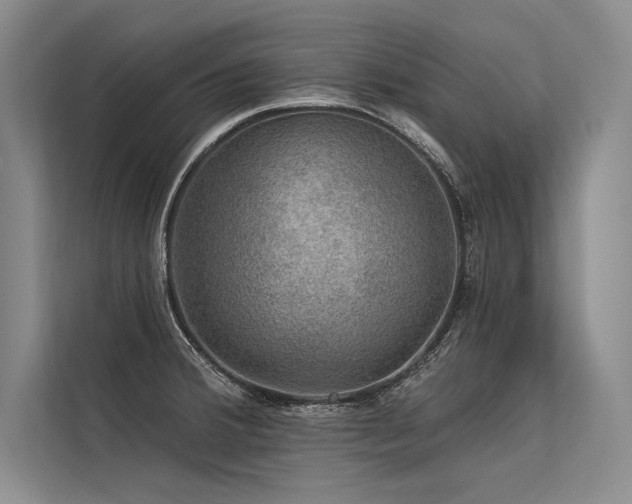 X0000113571380200909181238