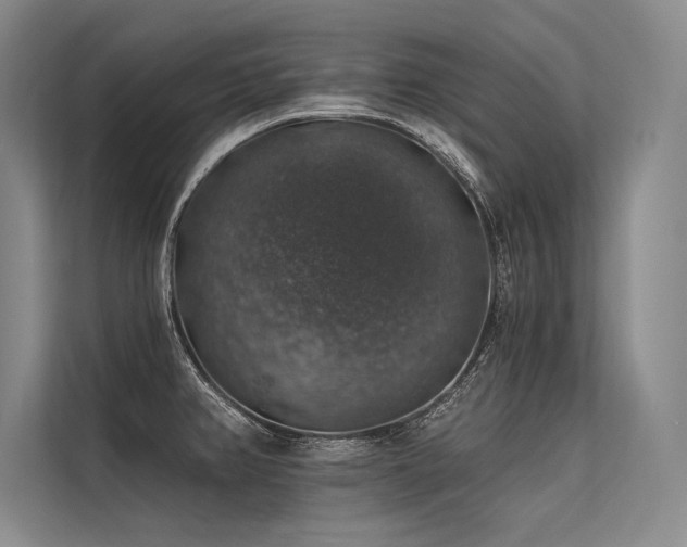 X0000113571382200909181238