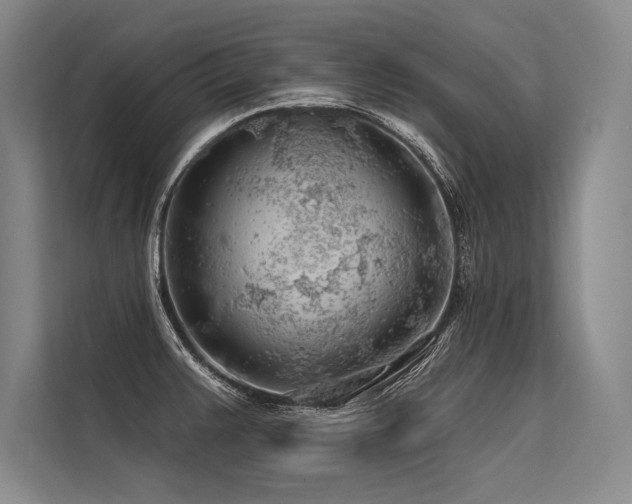 X0000113571383200909181238