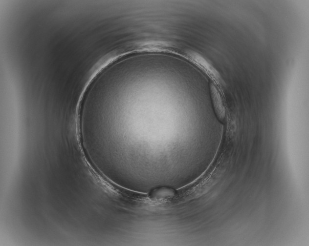 X0000113571384200909181238