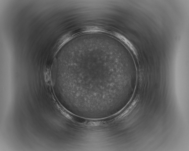X0000113571385200909181238