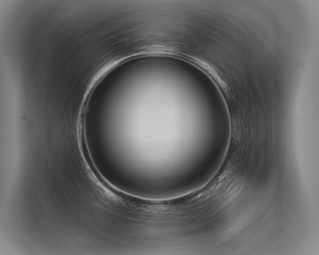 X0000113571387200909181238
