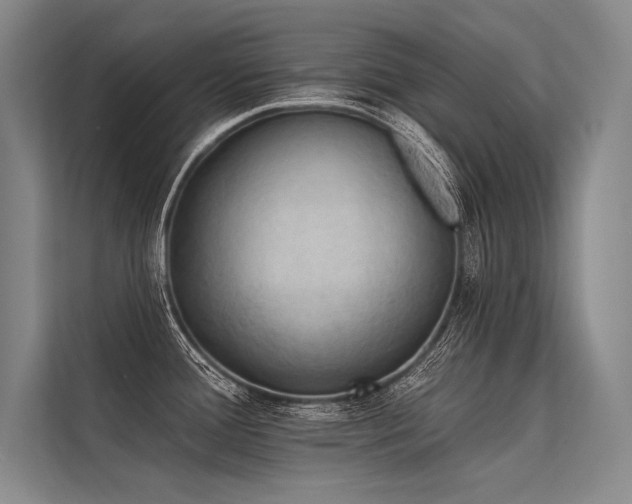 X0000113571388200909181238
