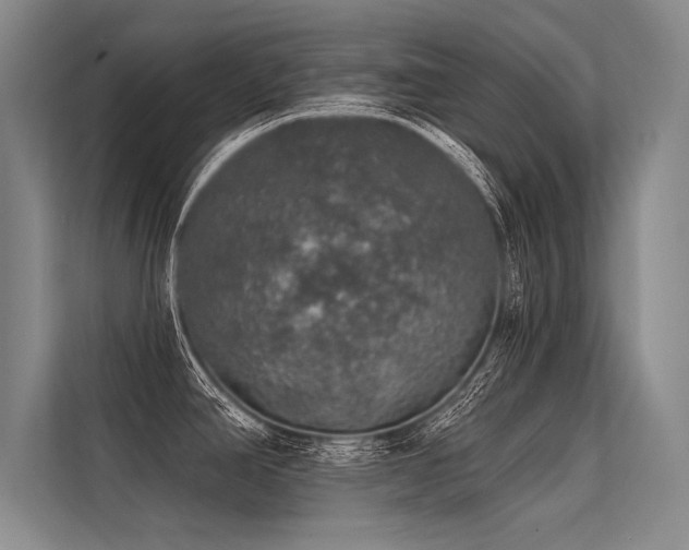 X0000113571390200909181238