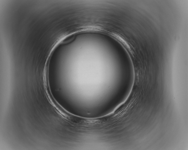 X0000113571391200909181238