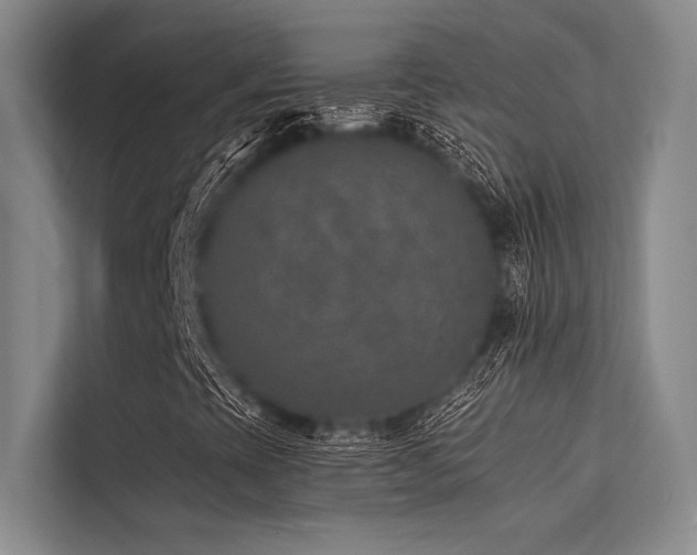 X0000113571393200909181238