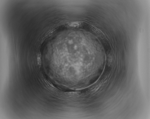 X0000113571394200909181238
