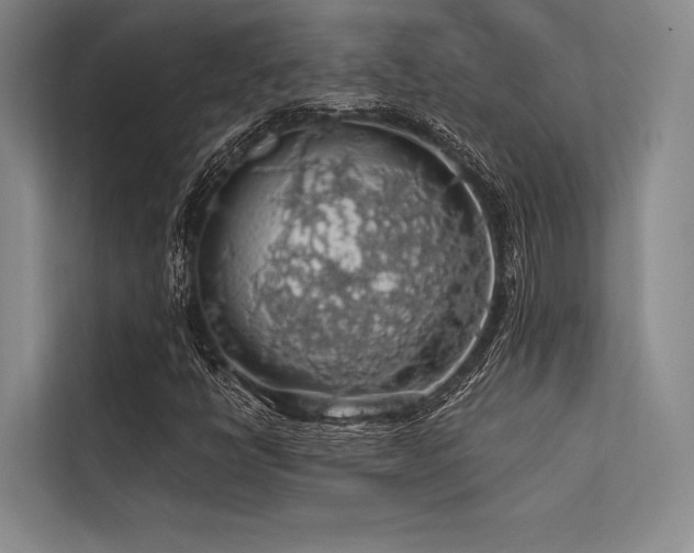 X0000113571398200909181238