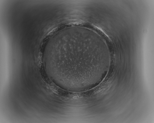 X0000113571399200909181238