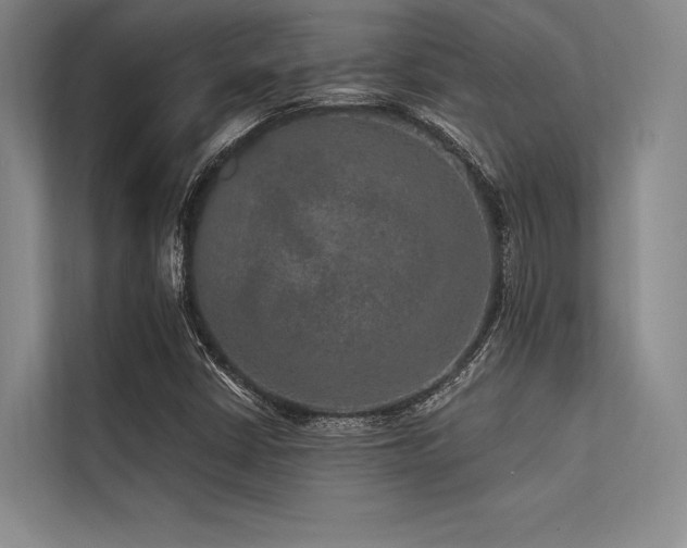 X0000113571402200909181238