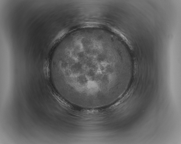 X0000113571403200909181238