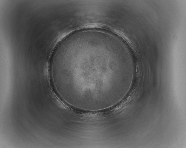 X0000113571404200909181238